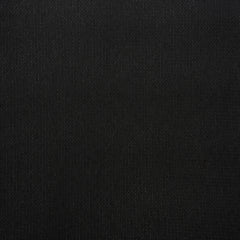 Anthracite 19-4007 TCX