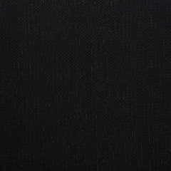 Anthracite 19-4007 TCX