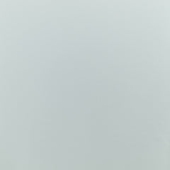 Bright White 11-0601 TCX