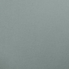 Dawn Blue 13-4303 TCX