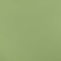 Lime Sherbet 13-530 TCX