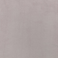 Pale Lilac 13-2803 TCX
