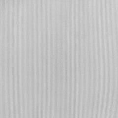 Bright White 11-0601 TCX