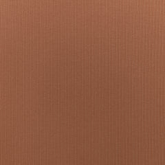 Carnelian 16-1435 TCX