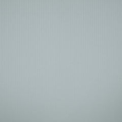 Cloud Dancer 11-4201 TCX