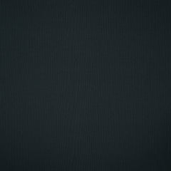 Dark Shadow 19-3906 TCX
