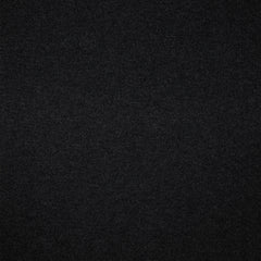 Dark Shadow 19-3906 TCX