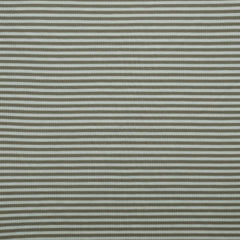 Silver Sage 17-0510 TCX