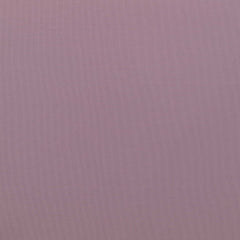 Light Lilac 12-2903 TCX