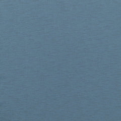 Blue Shadow 17-4020 TCX