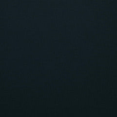 Blue Graphite 19-4015 TCX