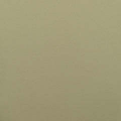 Pale Olive Green 15-0522 TCX