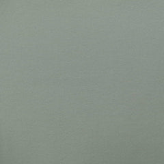 Dawn Blue 13-4303 TCX