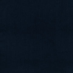Blue Graphite 19-4015 TCX