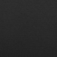 Dark Shadow 19-3906 TCX