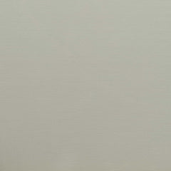 Oyster Gray 14-1107 TCX