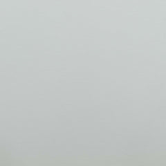 Bright White 11-0601 TCX