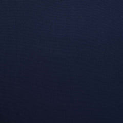 Insignia Blue 19-4028 TCX