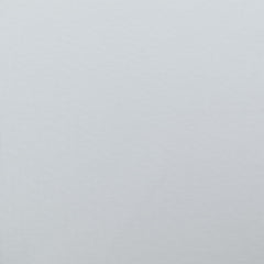 Bright White 11-0601 TCX