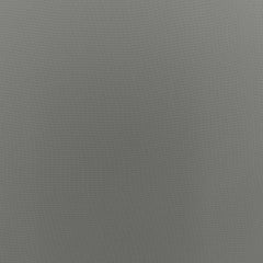 Elephant Skin 17-0205 TCX