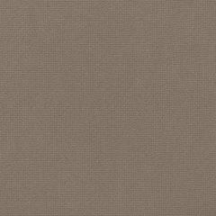 Elephant Skin 17-0205 TCX