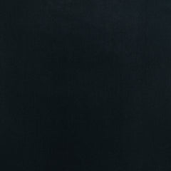 Anthracite 19-4007 TCX
