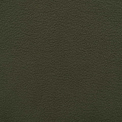Deep Lichen Green 18-0312 TCX