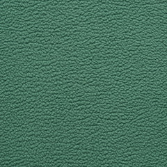 Neptune Green 14-6017 TCX