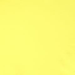 Blazing Yellow 12-0643TCX
