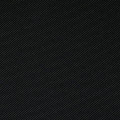 Black 19-4006 TCX