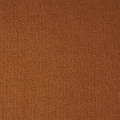 Sugar Brown 18-1148 TCX