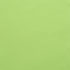 Bright Lime Green 14-0244 TCX